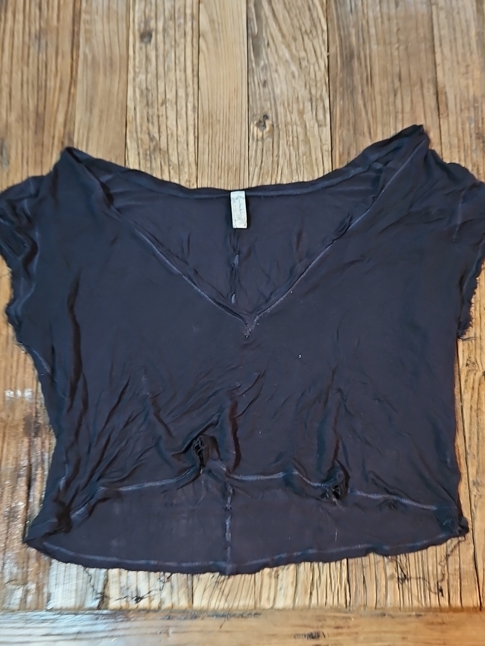 Free People Frayed Edges Sheer Black V-Neck Crop Top